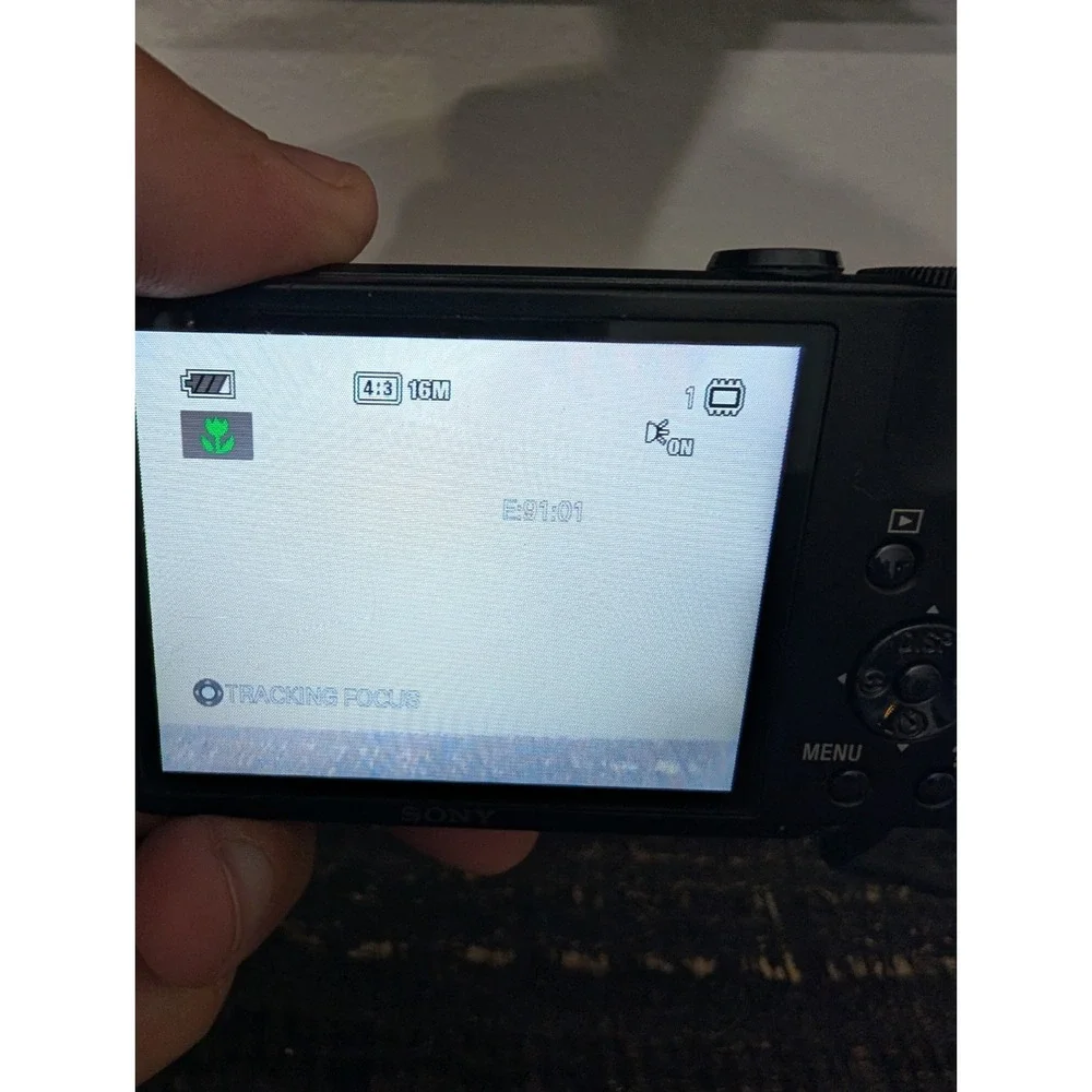 Sony Cyber-Shot DSC-H70 16.1MP 10x Digital‎ Camera - Flash ERROR + Damage
